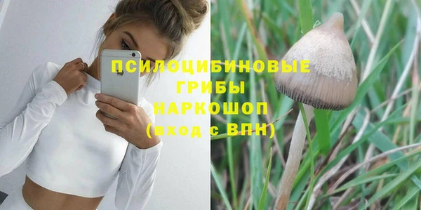 spice Балабаново