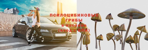 крисы Покровск