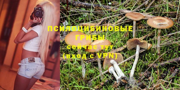 spice Балабаново