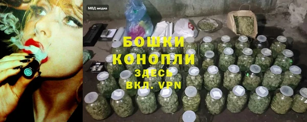 дурь Покачи