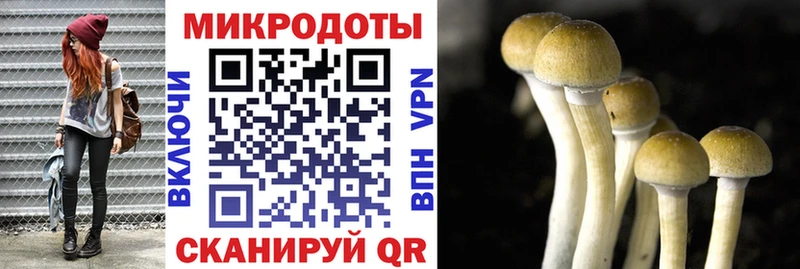 Псилоцибиновые грибы ЛСД  Вязьма 